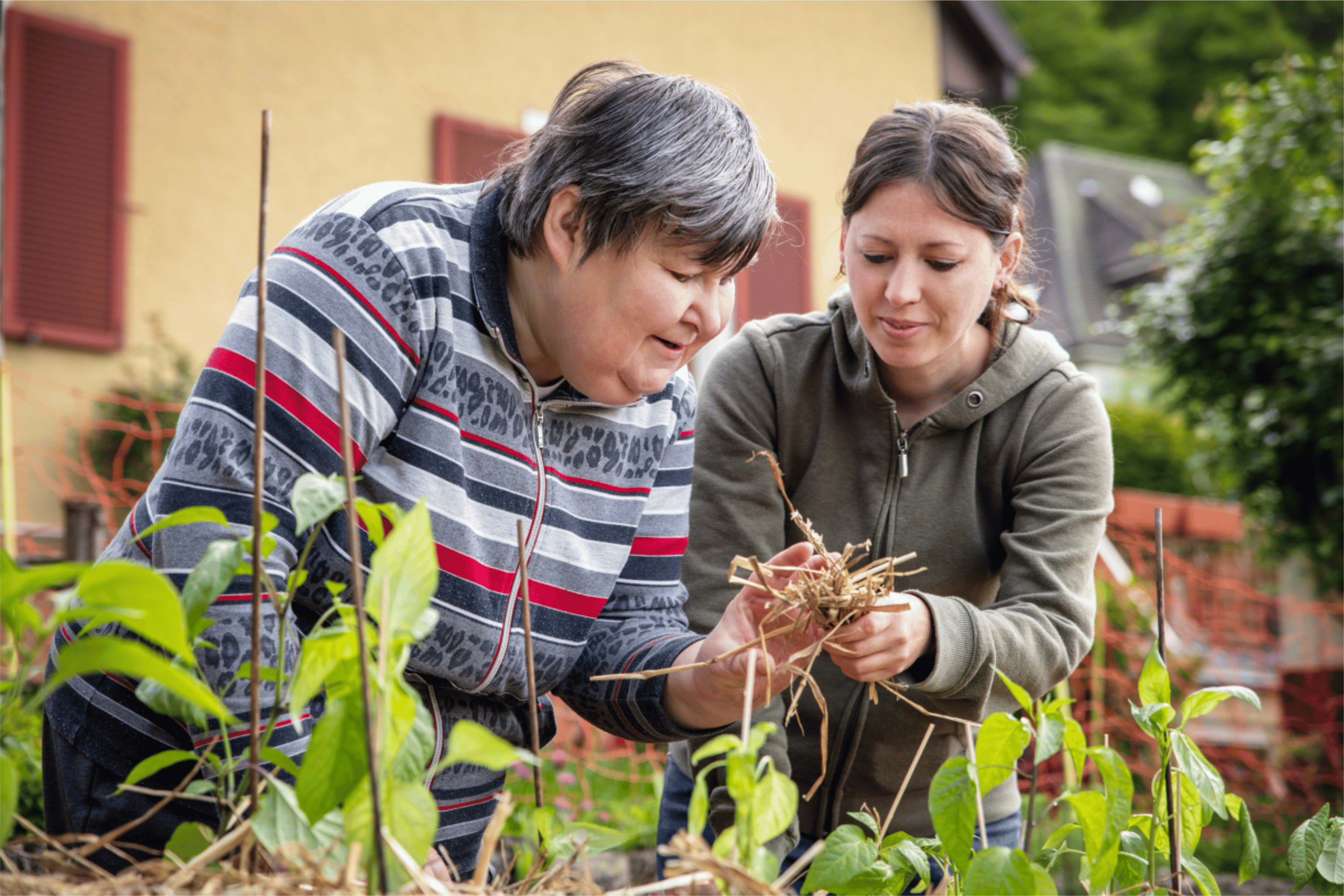 Carer helping person with learning disabilities in the garden
